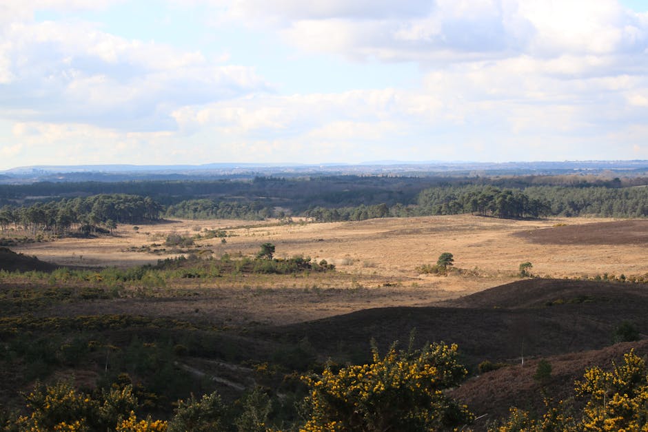 Countryside setting used for a residential event