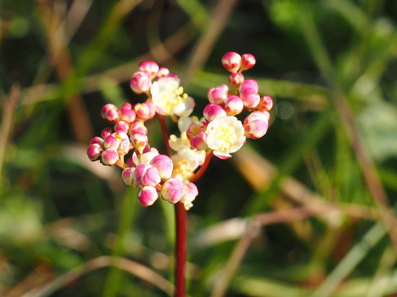 Quiet outdoor space used for prayer and reflection